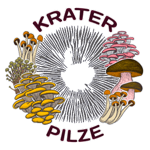 Krater Pilze